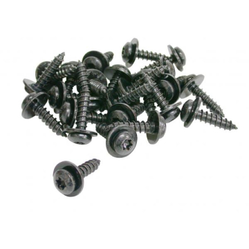 84-96 TORX BODY SCREW SET (5 PCS) 25 MM