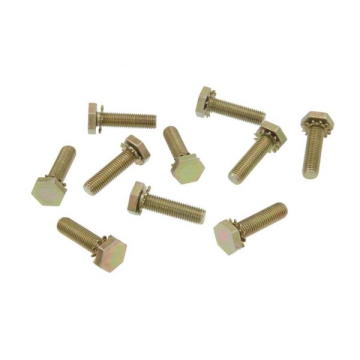 56-62 DOOR HINGE BOLT SET (10 PCS)