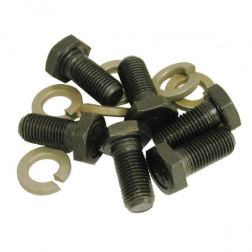 63-81 FLYWHEEL BOLT & LW SET